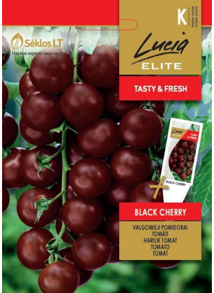 Tomat 'Black Cherry'