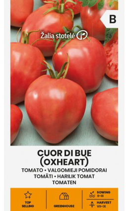 Tomat 'Oxheart'