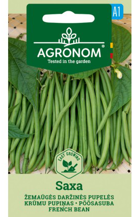 Bønne 'Saxa'