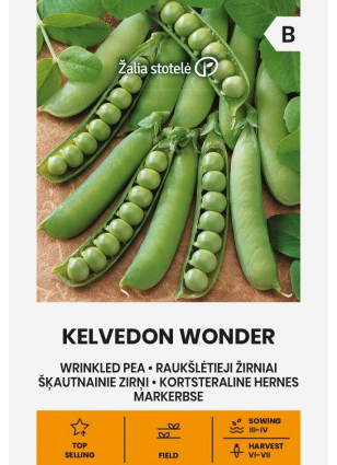Ært 'Kelvedon Wonder'
