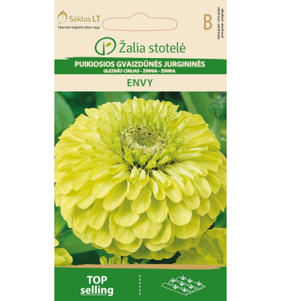 Zinnia 'Envy' - Billede 2