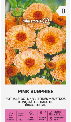 Morgenfrue 'Pink Surprise'
