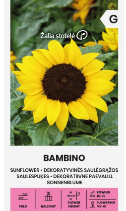 Solsikke 'Bambino'