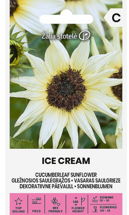 Solsikke 'Ice Cream'