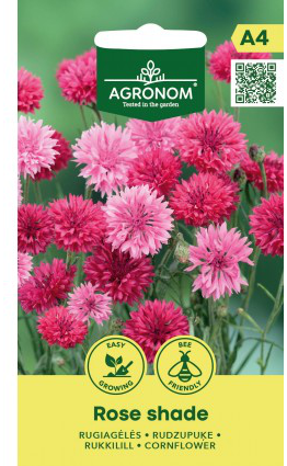 Kornblomst 'Rose Shade'