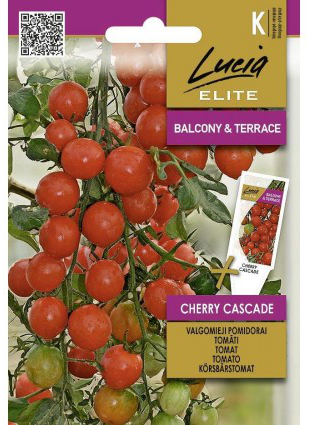 Tomat 'Cherry Cascade'